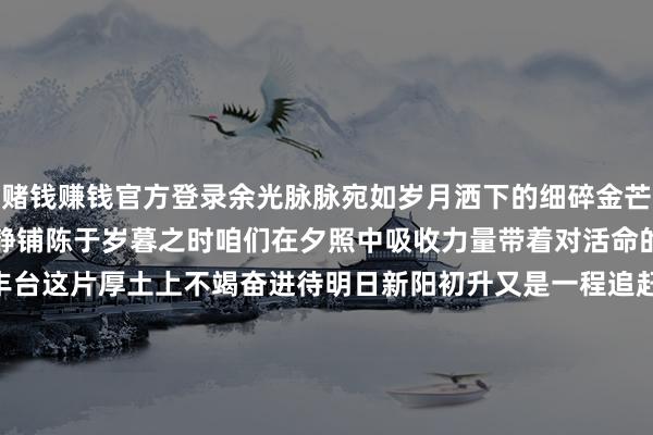 赌钱赚钱官方登录余光脉脉宛如岁月洒下的细碎金芒将往昔的故事在砖石间静静铺陈于岁暮之时咱们在夕照中吸收力量带着对活命的深爱与对改日的欲望在丰台这片厚土上不竭奋进待明日新阳初升又是一程追赶梦念念的路径向着远处设施不断着手 丰台时报影相 欧阳树辰笔墨 韩昕媛实习剪辑 高帆作家：北京丰台官方发布    -可以赢钱的游戏软件-登录入口