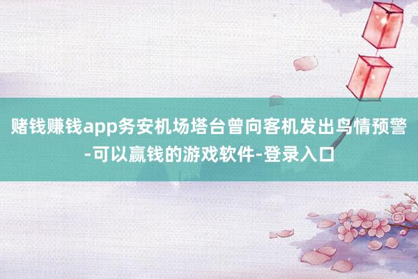 赌钱赚钱app务安机场塔台曾向客机发出鸟情预警-可以赢钱的游戏软件-登录入口