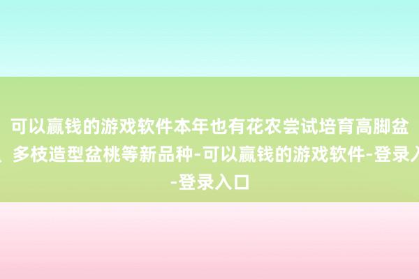可以赢钱的游戏软件本年也有花农尝试培育高脚盆桃、多枝造型盆桃等新品种-可以赢钱的游戏软件-登录入口